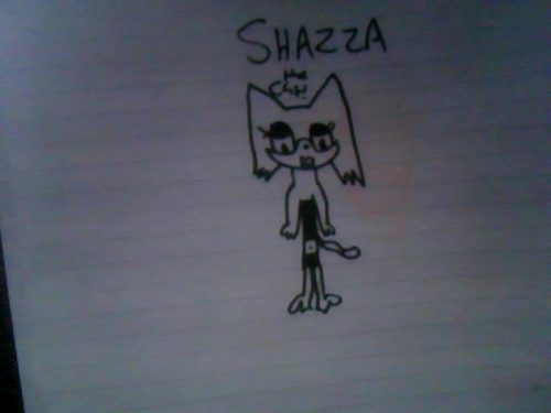  Shazza the cat