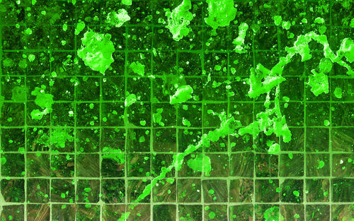  Green Splatter Tile 바탕화면