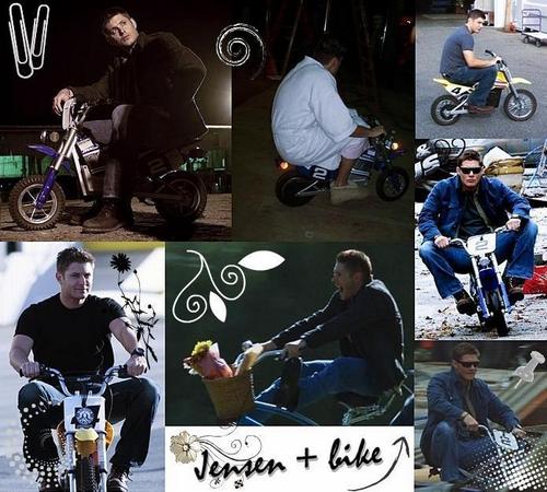 Jensen + bike