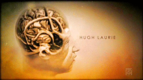  Opening Sequence ~ Hugh Laurie