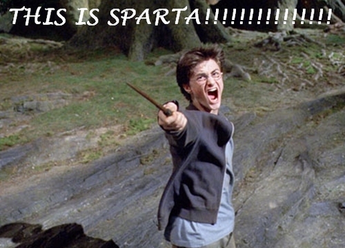  THIS IS SPARTA!!!!!!