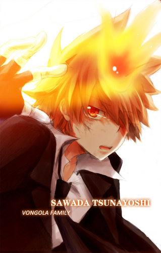  Tsunayoshi sawada<3