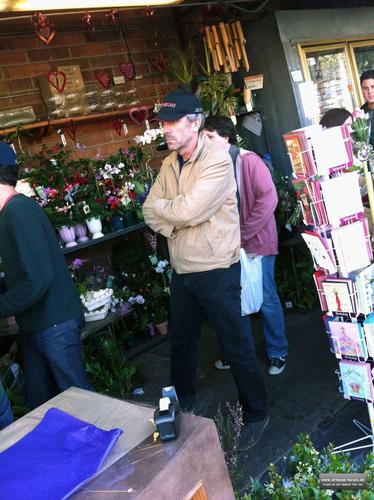  hugh laurie buying 꽃 in los angeles, February 14, 2011