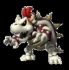  normal dry bowser