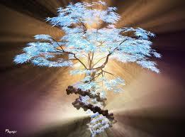  árbol of life...p's