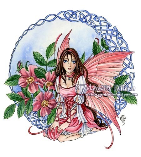  Celtic Rose Fairy