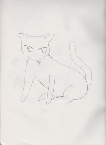  Handdrawn picture of kyo kat