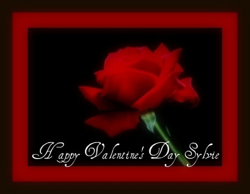  Happy Valentine's giorno Sylvie!!!