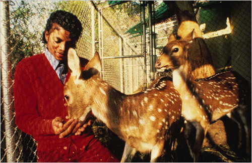  Michael at Neverland with deer