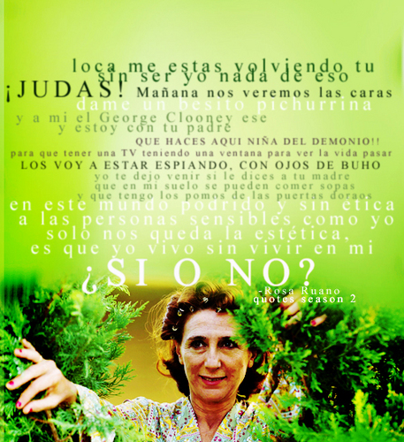  Rosa Ruano citations