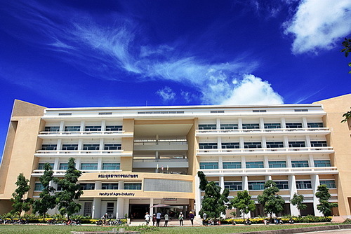  trường đại học of Thailand