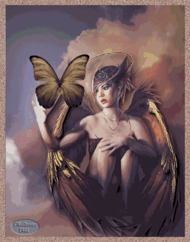  Angel an papillon