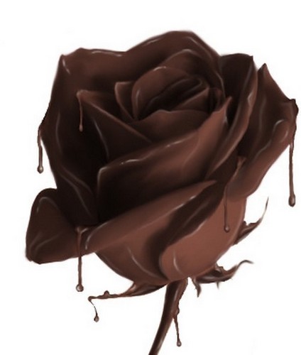  चॉकलेट rose