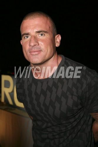  Dominic Purcell, rubah, fox UpFront, June 9, 2008