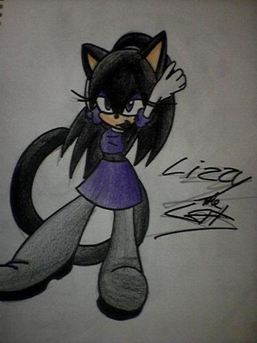  Lizzy the cat