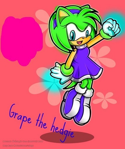  New character ! traube the hedgie