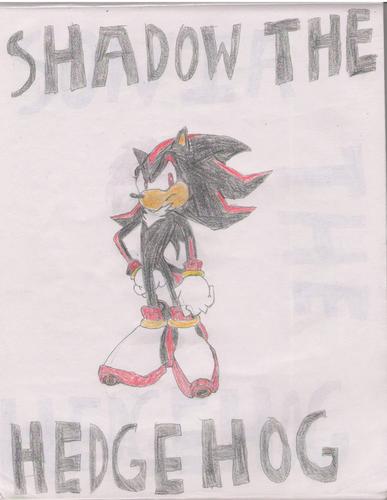  Shadow the Hedgehog. Yes , Idrew this.