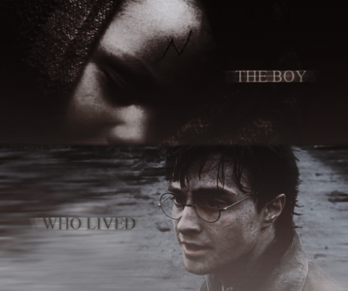  The Boy who lived-The chosen one