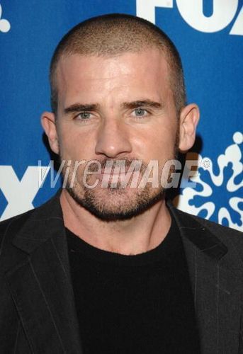  dominic purcell