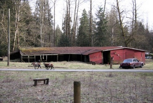  Breaking Dawn Filming News: 写真 Of The Bella’s House & Jacob’s House