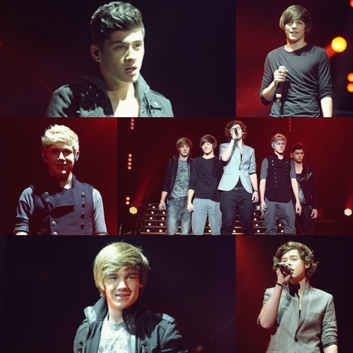  1D = Heartthrobs (Live Tour!!) I Can't Help Falling In Amore Wiv 1D 100% Real :) x