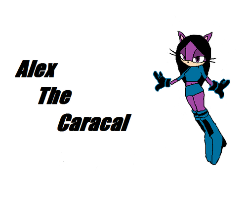  Alex The Caracal 3