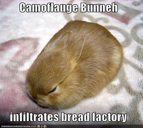  Camoflauge Bunny