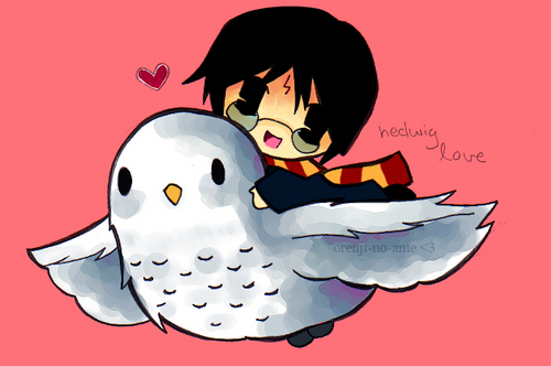  Chibi Harry and Hedwig