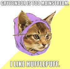 Hipster Kitty for Hufflepuff :) x