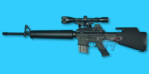 M16 sniper