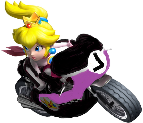  Mario Kart Wii ( Lilly )