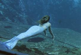  magical Meerjungfrauen beneath the seas