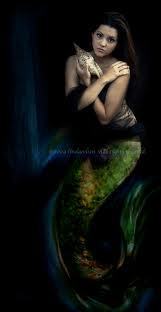 magical mermaids beneath the seas