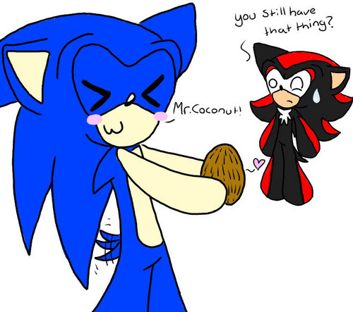  sonic reunited with an old friend XD