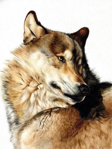  wolfs art^^