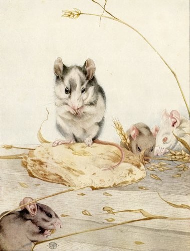  Dr Dolittle's Mice!