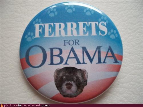  Ferrets for Obama