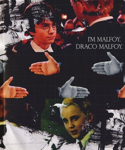 I'm Malfoy. Draco Malfoy