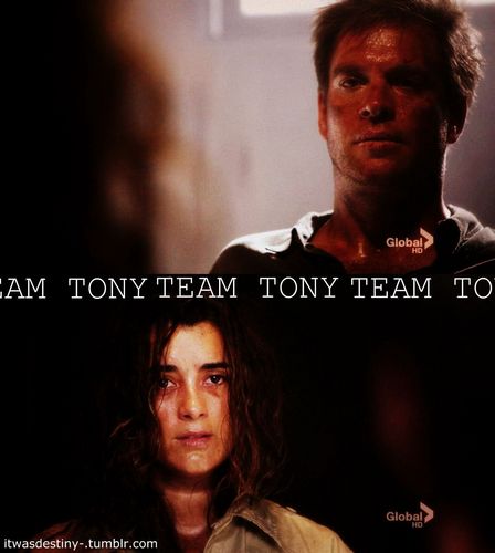  TEAM TONY!