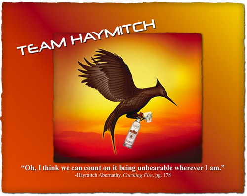  Team Haymitch!