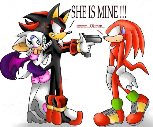  shadow want to kill knux because he 爱情 rouge XD