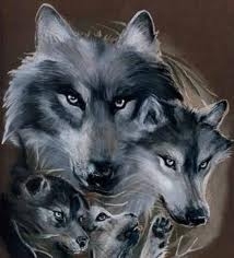  狼, オオカミ family