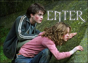  ♥Harry and Hermione♥