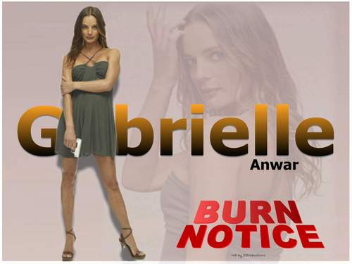  Burn Notice