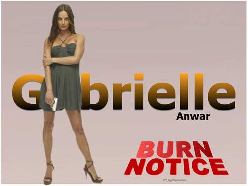  Burn Notice