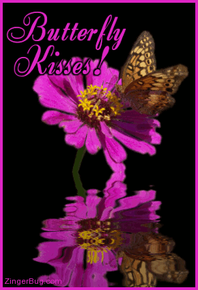  butterfly, kipepeo Kisses,Animated
