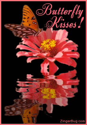  borboleta Kisses,Animated