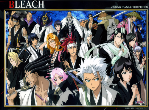 Bleach Anime images Captains and Vice Captains HD wallpaper and ...