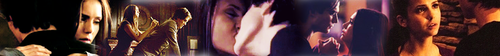  Damon & Elena Banner Part Two.