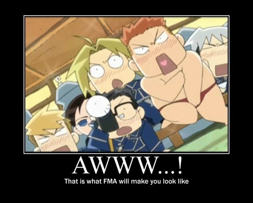  FMA Funny Poster!